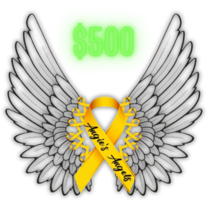 $500 Donation